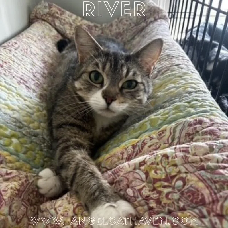 River thumbnail 2