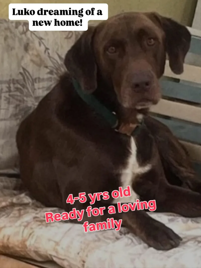 Luko  Can Be thumbnail 3