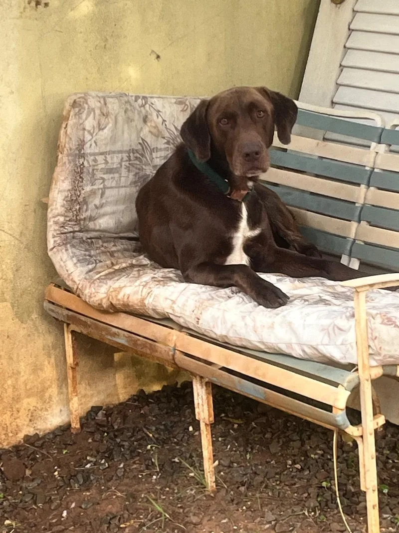 Luko  Can Be thumbnail 4