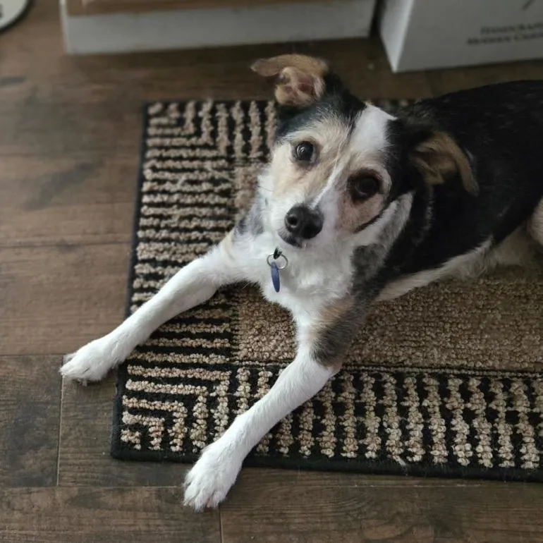 Tater Tot