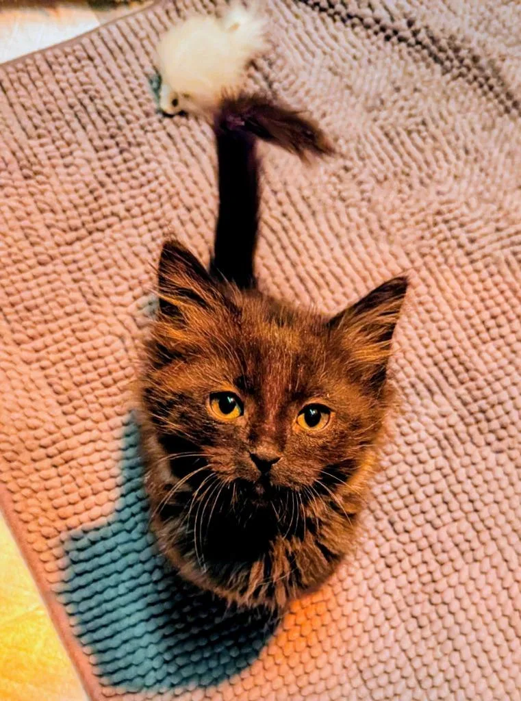 Jack Kelly thumbnail 2