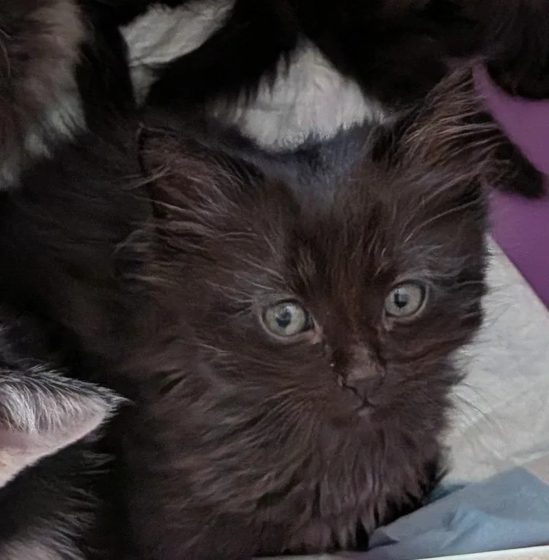 Jack Kelly thumbnail 3