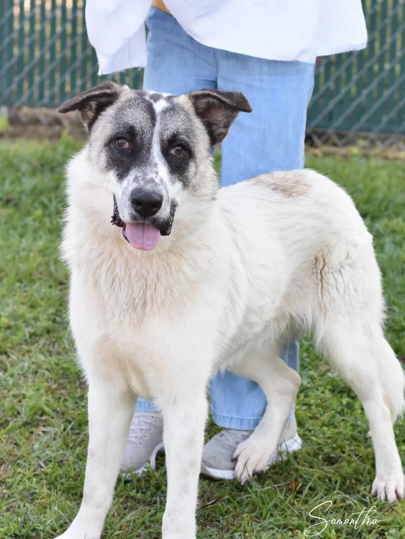 Samantha thumbnail 3