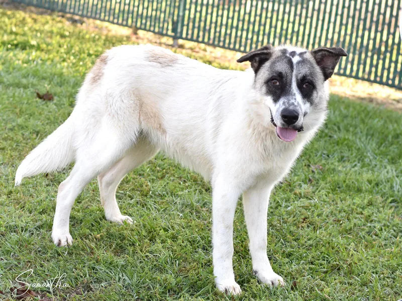 Samantha thumbnail 4