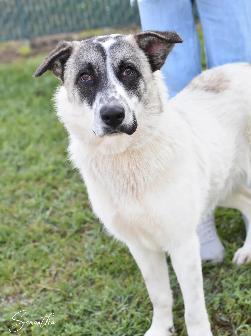 Samantha thumbnail 5