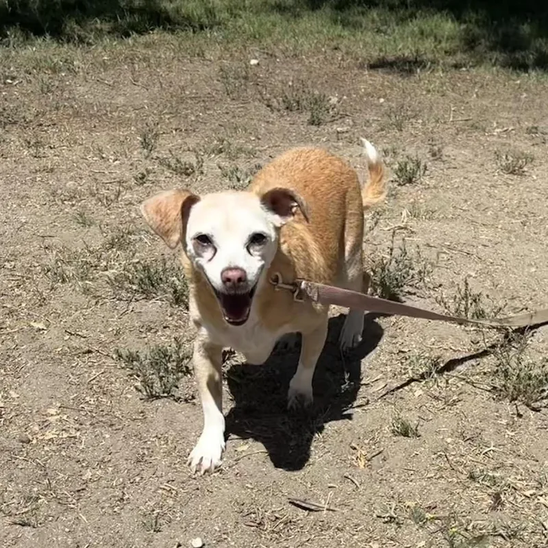Sandy Love thumbnail 2
