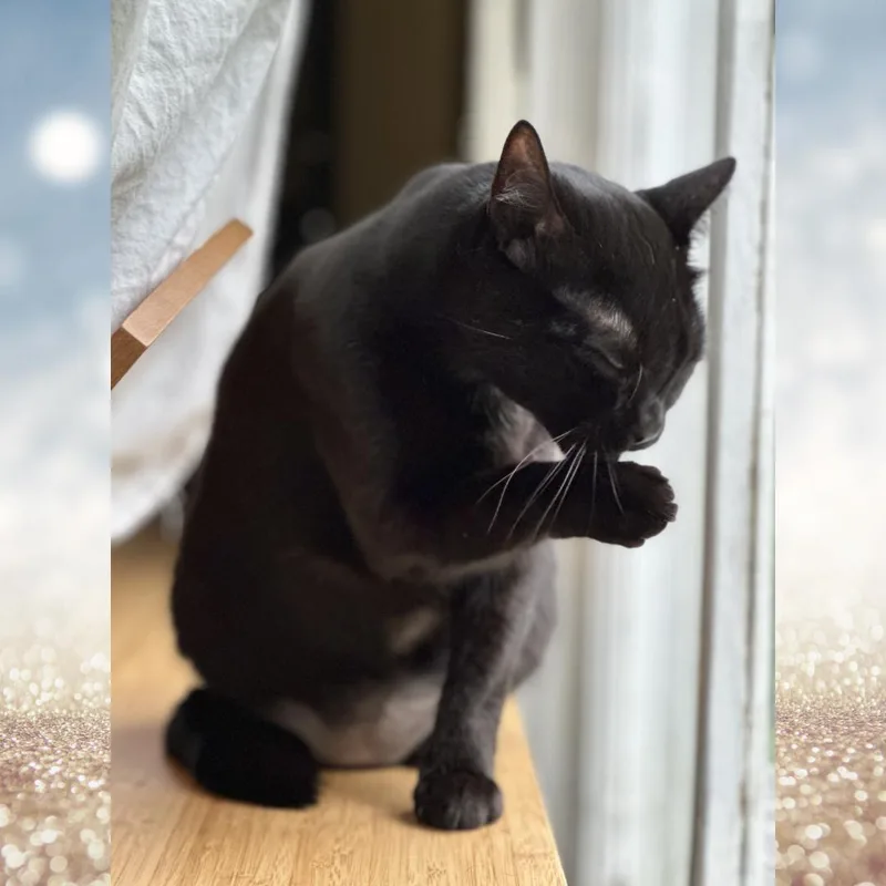 Lil' Bit thumbnail 2