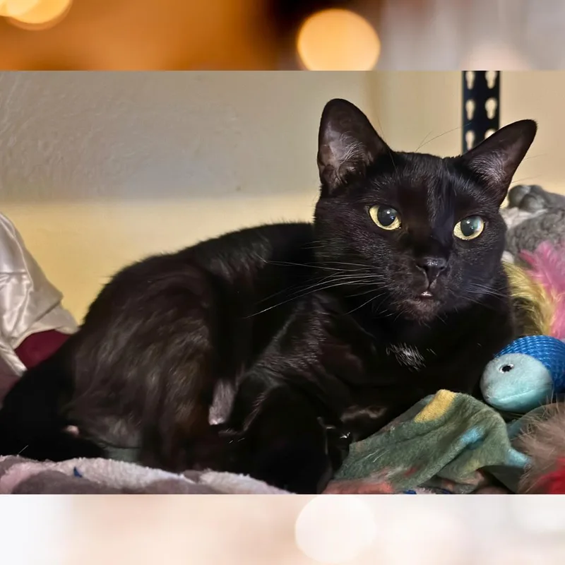 Lil' Bit thumbnail 3