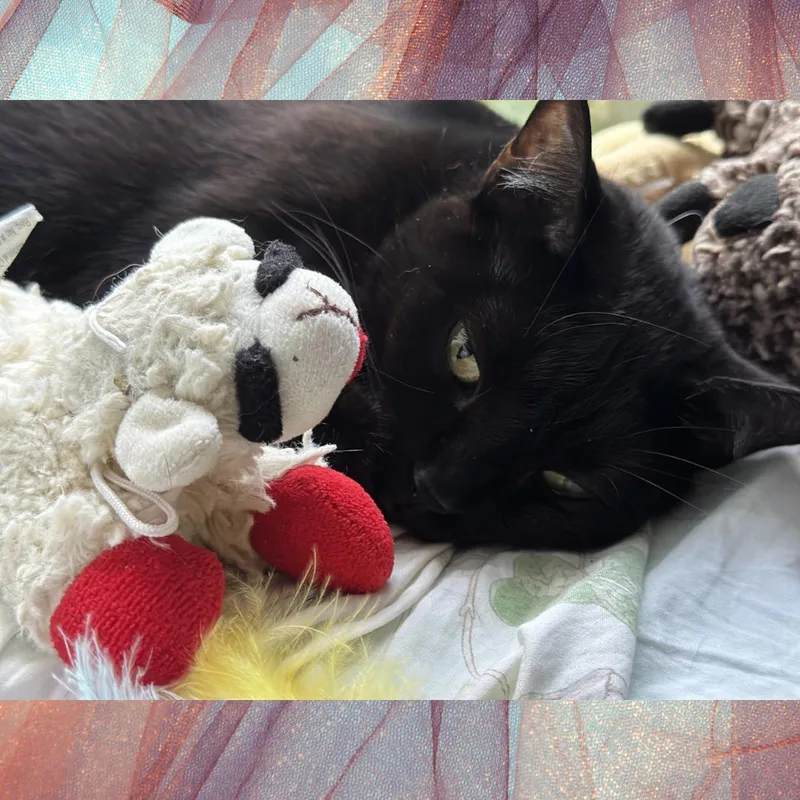 Lil' Bit thumbnail 5