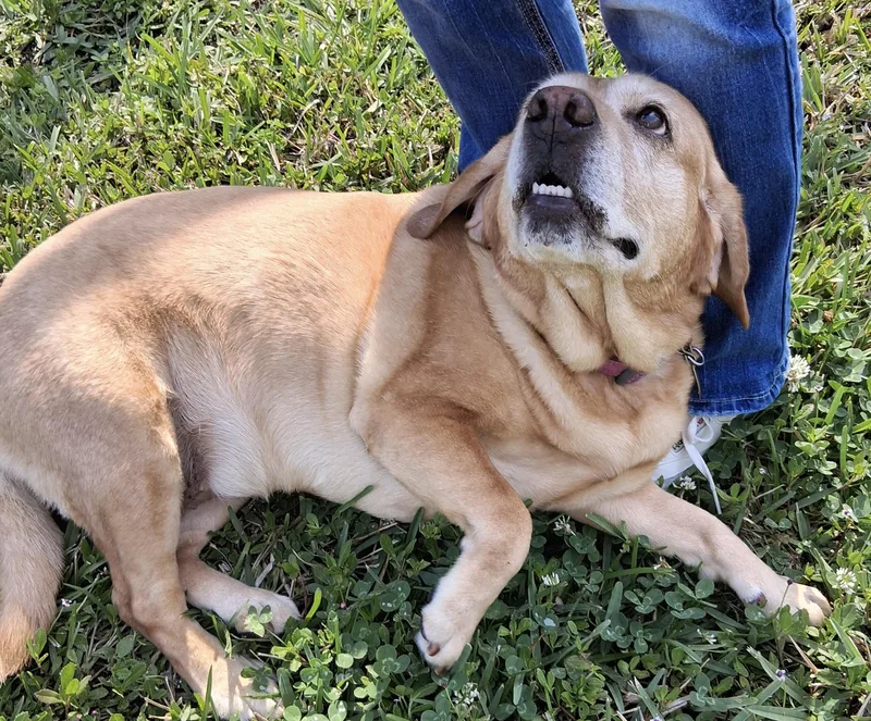 Missing Love!!! thumbnail 2