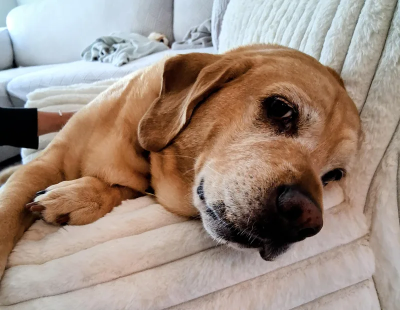 Missing Love!!! thumbnail 3