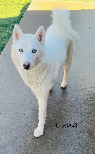 Luna Belle thumbnail 2