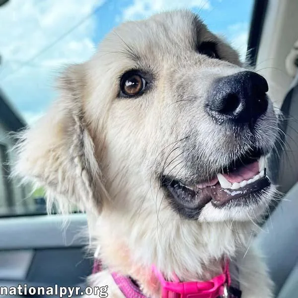 Maggie Mae in AL thumbnail 2