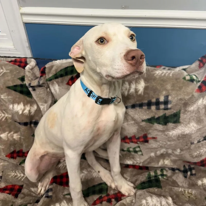 Zero thumbnail 5