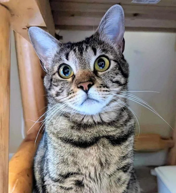 Little Bit thumbnail 2