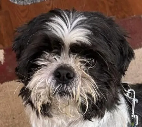 Tucker