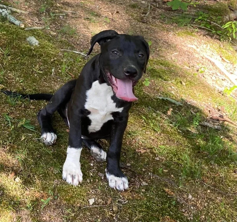 Ekko thumbnail 4