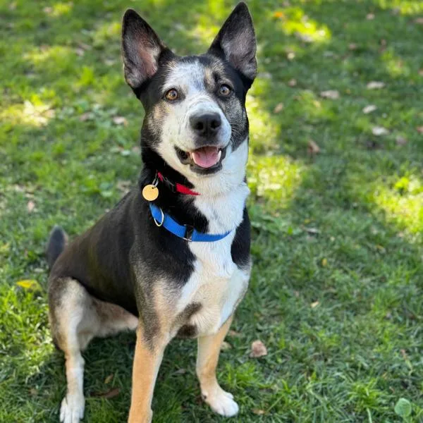 Freckles thumbnail 2