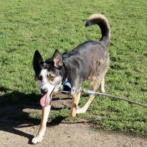 Freckles thumbnail 3