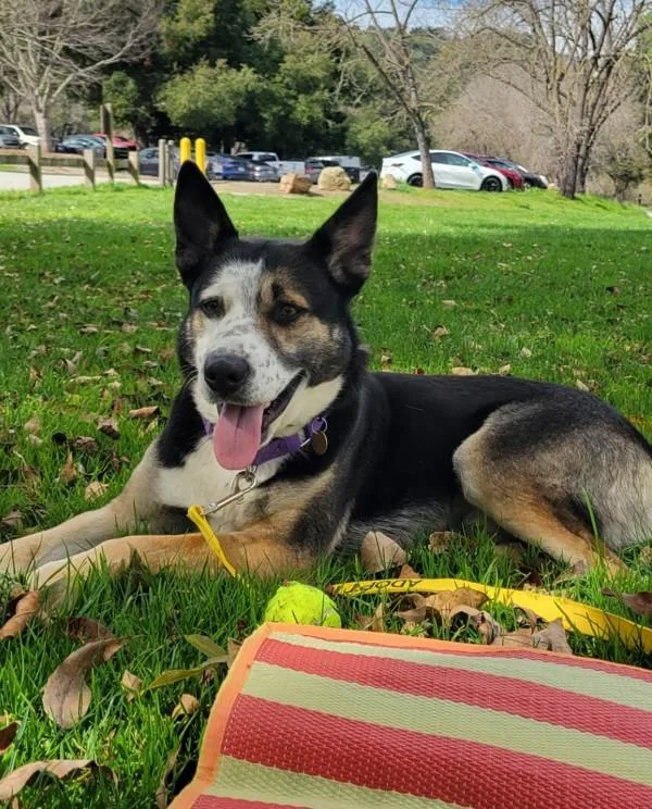 Freckles thumbnail 5