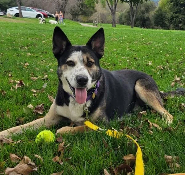 Freckles thumbnail 6