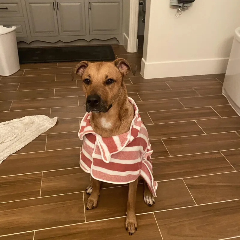 Miss Molly thumbnail 2