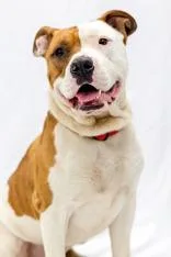 Oscar