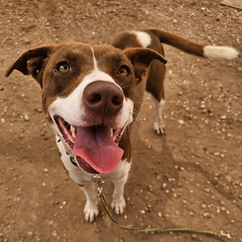 Pink Panthress thumbnail 2