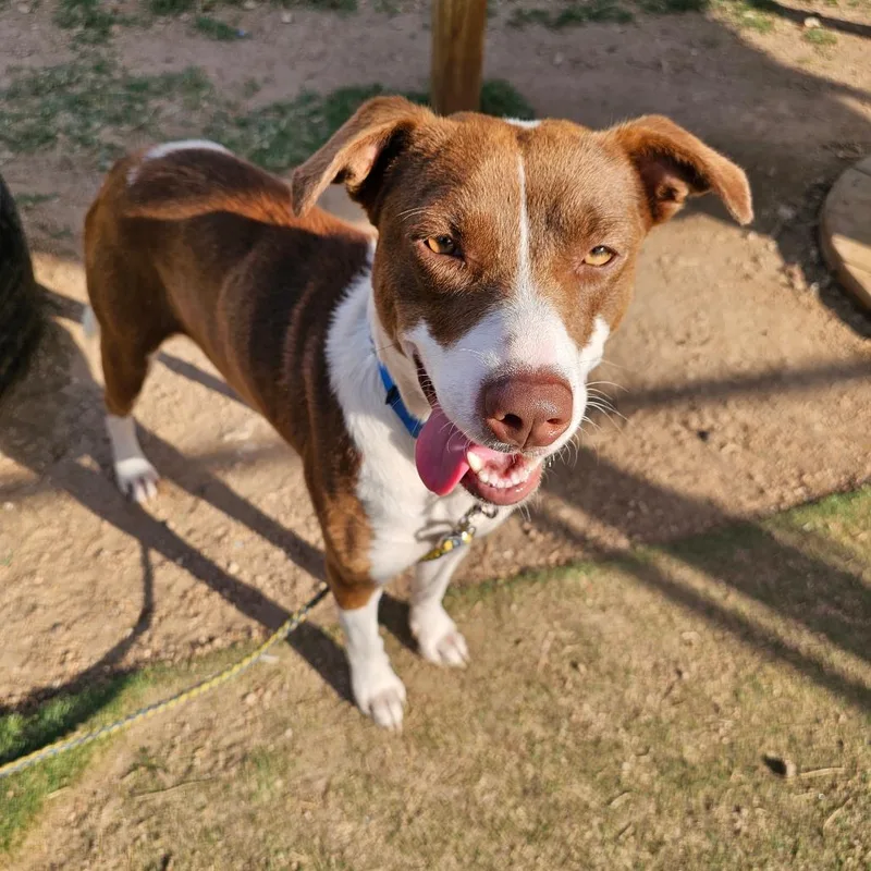 Pink Panthress thumbnail 5