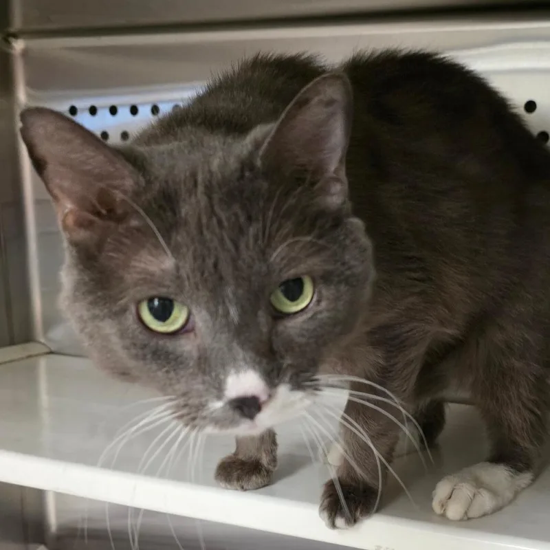 Tom Cruise thumbnail 2