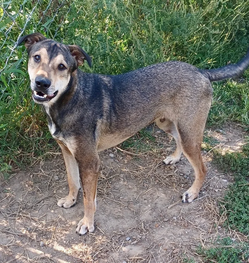 Jackson Brown thumbnail 3