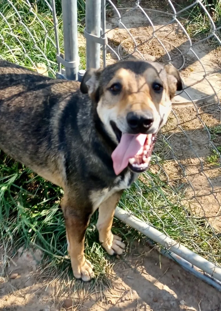 Jackson Brown thumbnail 4