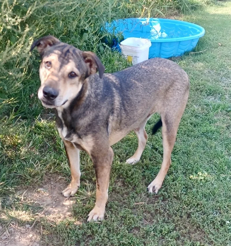 Jackson Brown thumbnail 5