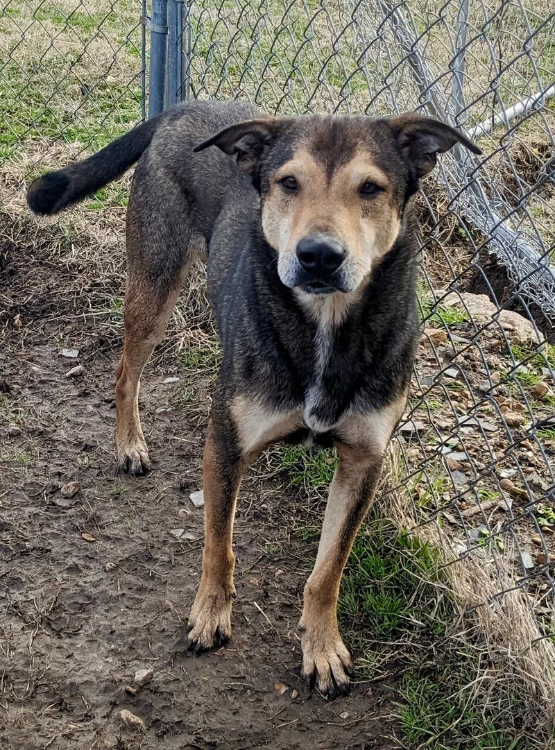 Jackson Brown thumbnail 6