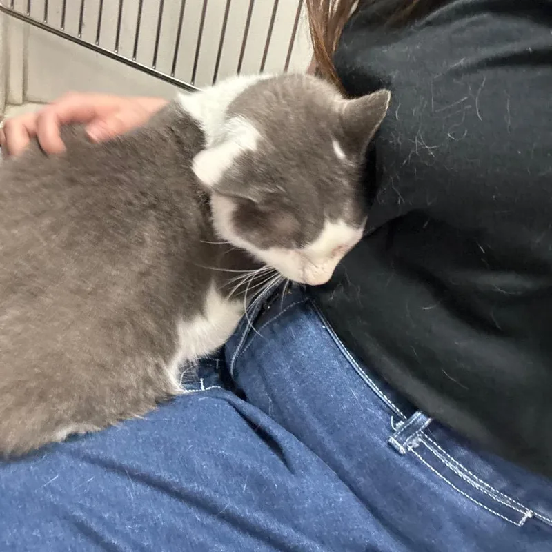Habanero thumbnail 2
