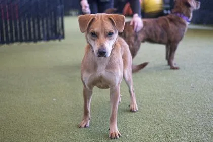 Hamilton thumbnail 2