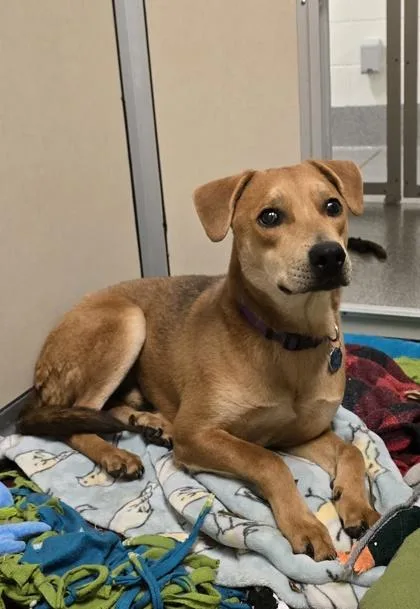 Hamilton thumbnail 3