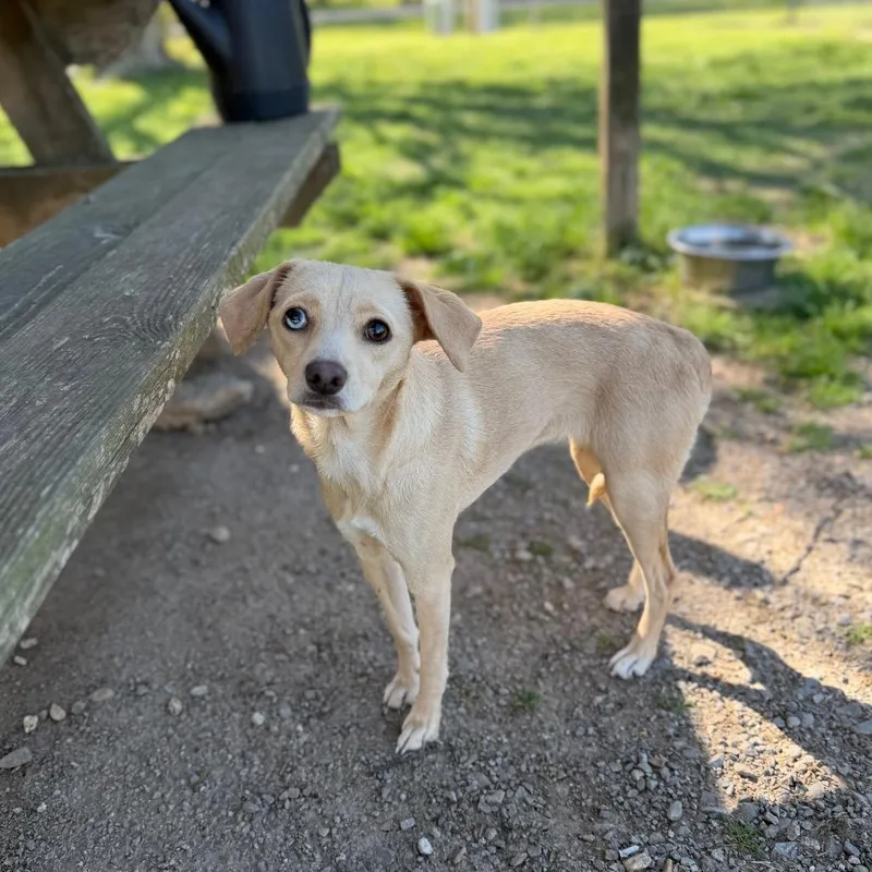 Little Lola Lopp thumbnail 3