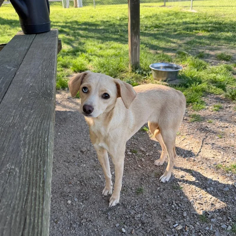 Little Lola Lopp thumbnail 5