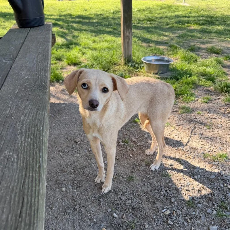 Little Lola Lopp thumbnail 6