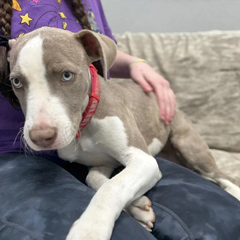 Madeline thumbnail 5