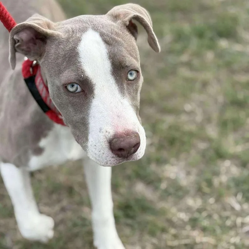 Madeline thumbnail 6