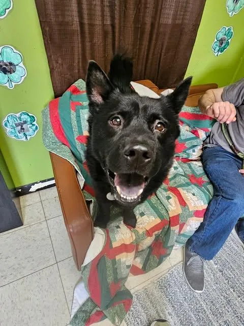 Midnight thumbnail 2