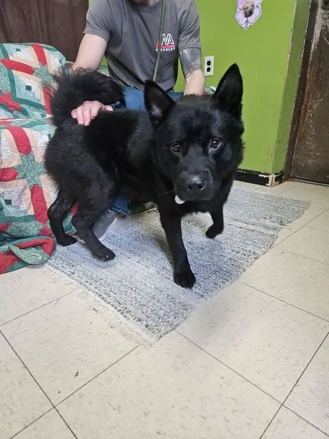 Midnight thumbnail 3