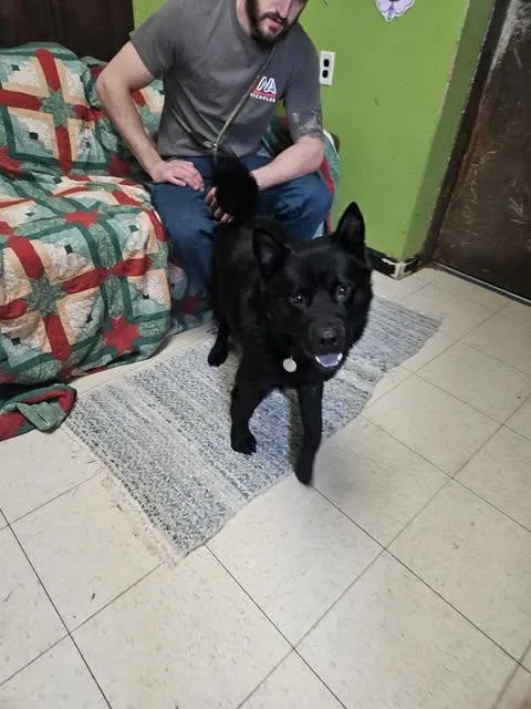 Midnight thumbnail 4