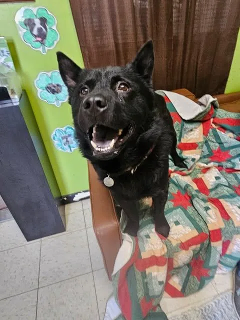 Midnight thumbnail 5