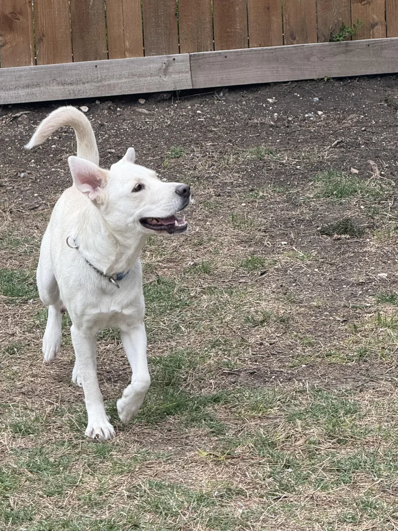 Clementine thumbnail 2