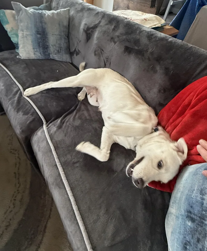 Clementine thumbnail 3