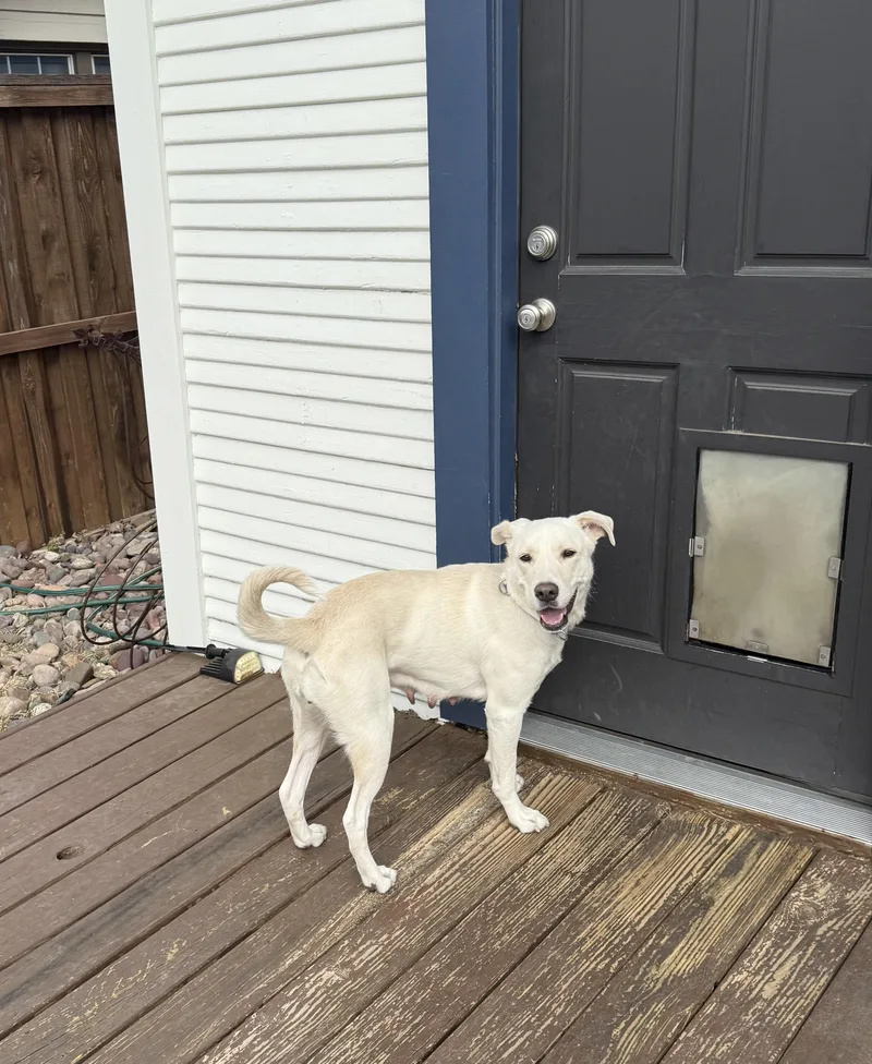 Clementine thumbnail 4