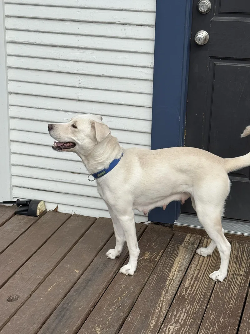 Clementine thumbnail 6